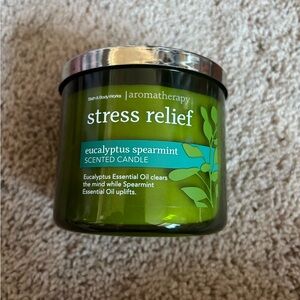 Bath & Body Works Eucalyptus Spearmint Candle